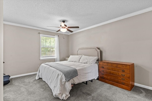 317 Holmes Rd, Newton, AL 36352 - photo 39