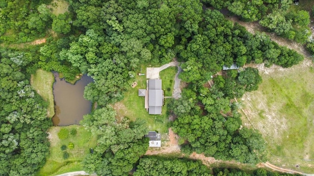 317 Holmes Rd, Newton, AL 36352 - photo 7