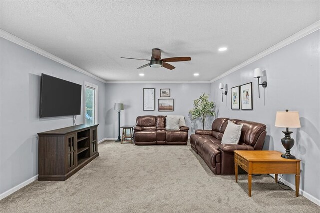 317 Holmes Rd, Newton, AL 36352 - photo 35