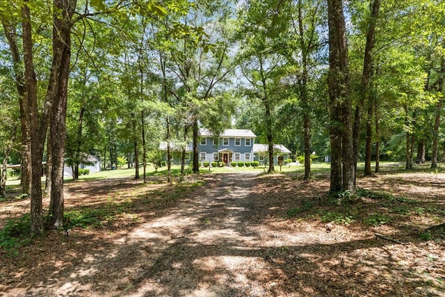 317 Holmes Rd, Newton, AL 36352 - photo 54