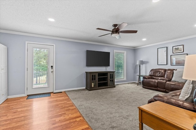 317 Holmes Rd, Newton, AL 36352 - photo 37