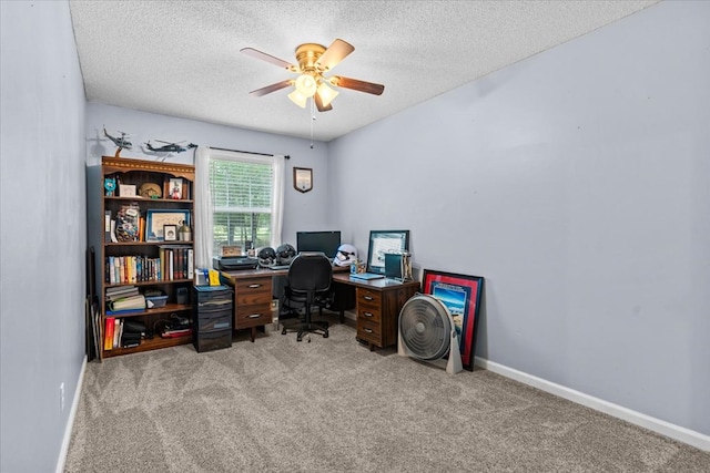 317 Holmes Rd, Newton, AL 36352 - photo 21