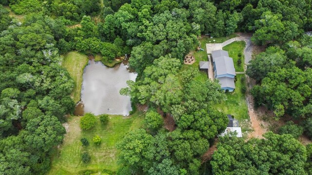 317 Holmes Rd, Newton, AL 36352 - photo 9