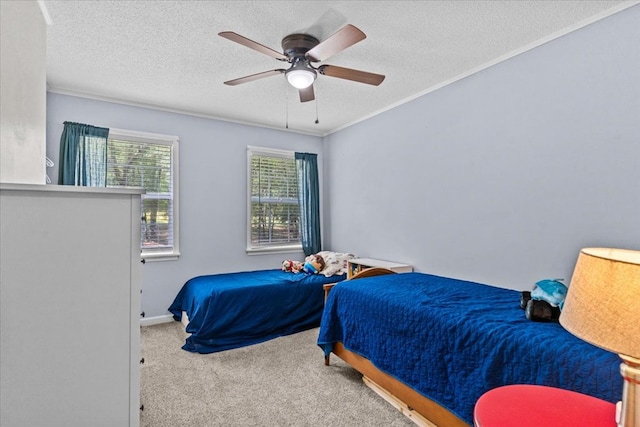 317 Holmes Rd, Newton, AL 36352 - photo 17