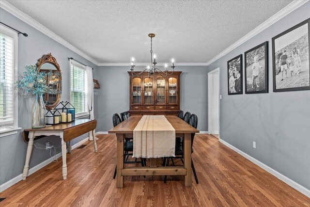 317 Holmes Rd, Newton, AL 36352 - photo 28