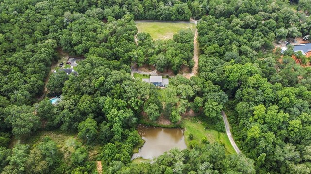 317 Holmes Rd, Newton, AL 36352 - photo 8