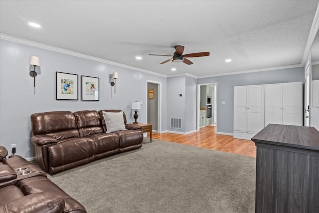 317 Holmes Rd, Newton, AL 36352 - photo 36