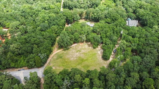317 Holmes Rd, Newton, AL 36352 - photo 5