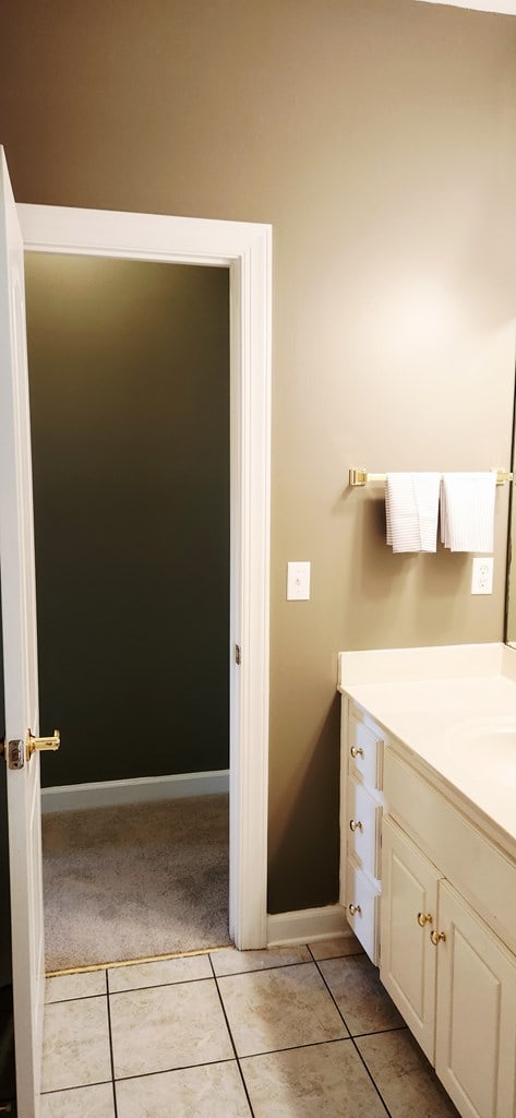 301 Roslyn Glen Way, Dothan, AL 36305 - bathroom featuring vanity and tile patterned flooring