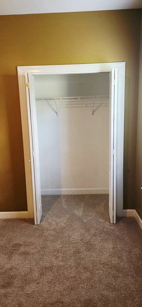 301 Roslyn Glen Way, Dothan, AL 36305 - view of closet