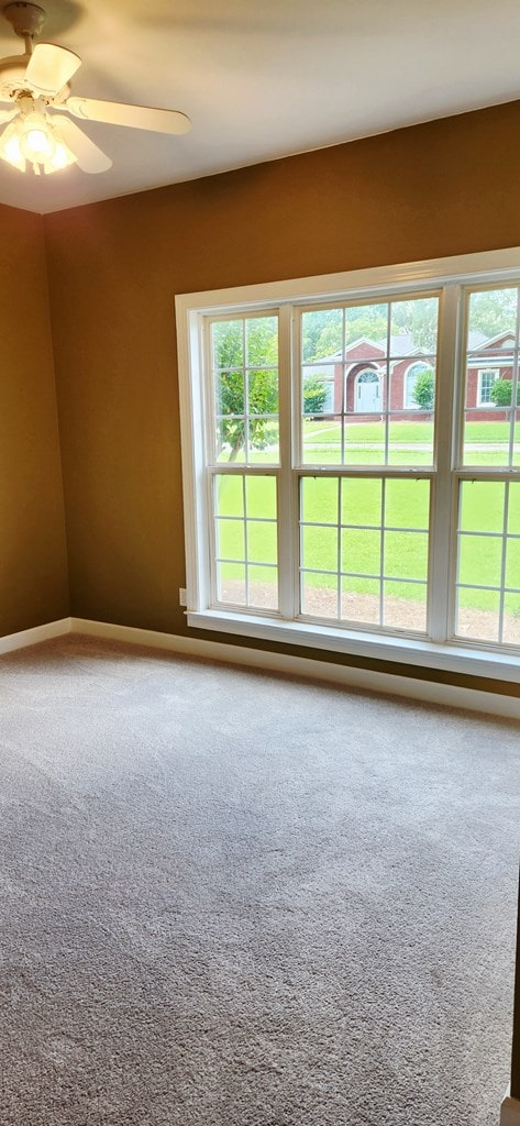 301 Roslyn Glen Way, Dothan, AL 36305 - unfurnished room featuring carpet floors, healthy amount of natural light, and ceiling fan