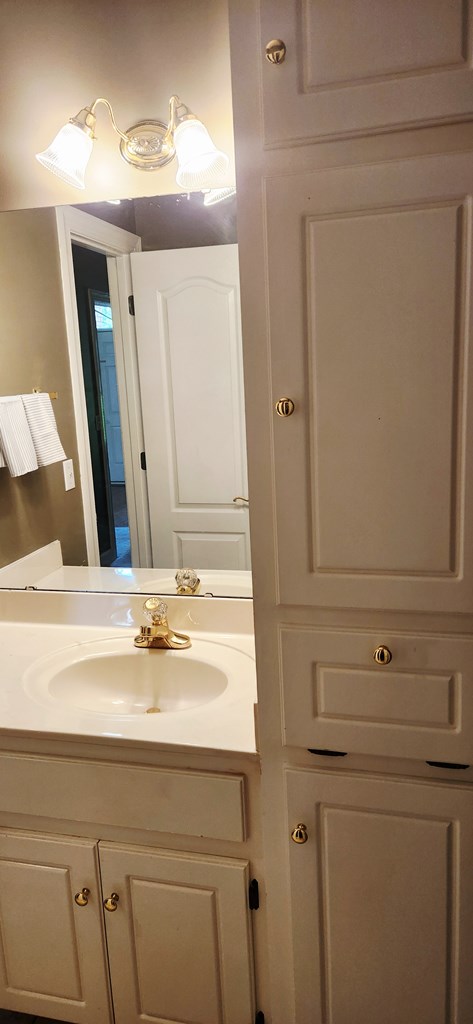 301 Roslyn Glen Way, Dothan, AL 36305 - bathroom featuring vanity