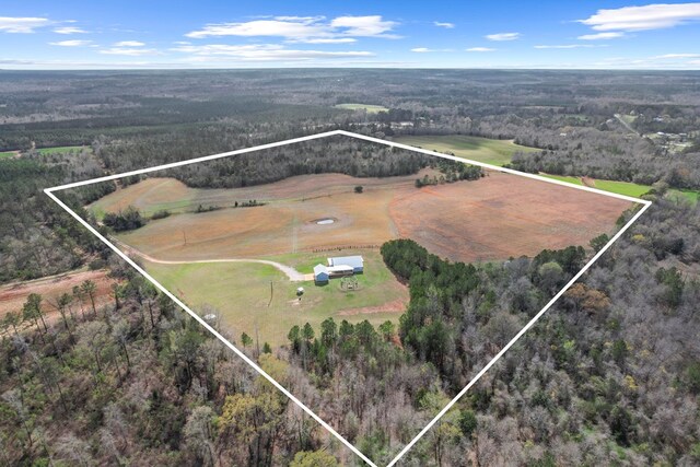 333 County Road 271, Clopton, AL 36317 - birds eye view of property with a rural view