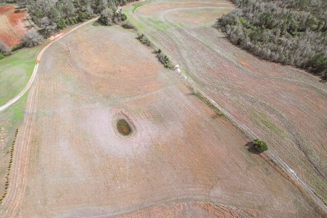 333 County Road 271, Clopton, AL 36317 - drone / aerial view