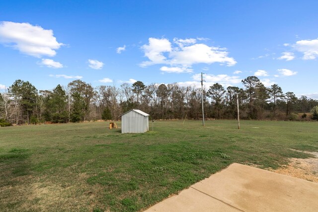 333 County Road 271, Clopton, AL 36317 - view of yard with a storage shed