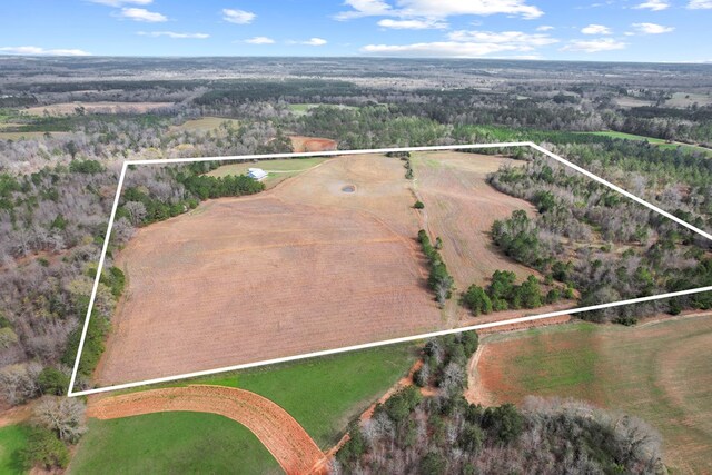 333 County Road 271, Clopton, AL 36317 - birds eye view of property featuring a rural view