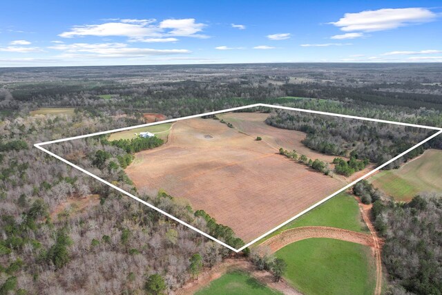 333 County Road 271, Clopton, AL 36317 - birds eye view of property featuring a rural view