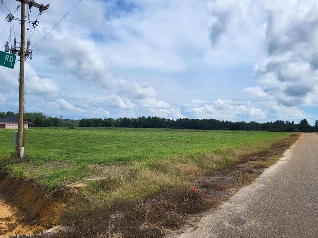 LOT9 Woodham Rd, Ashford, AL 36312 - photo 6