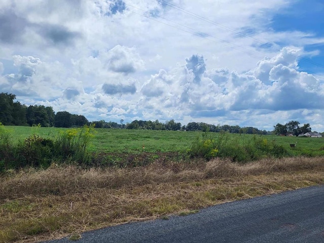 LOT9 Woodham Rd, Ashford, AL 36312 - photo 4