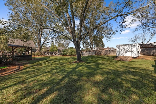 view of yard with a storage shed