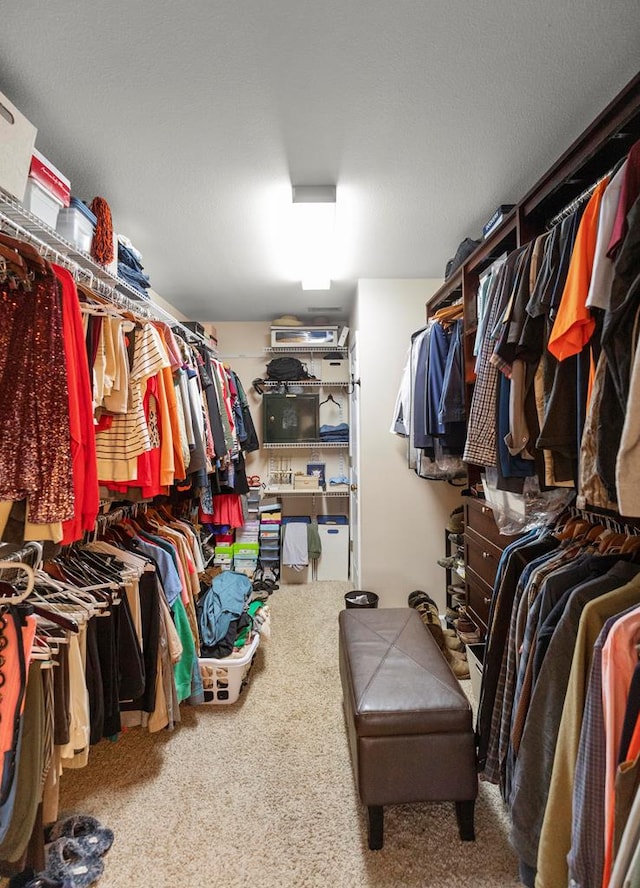 spacious closet with carpet floors