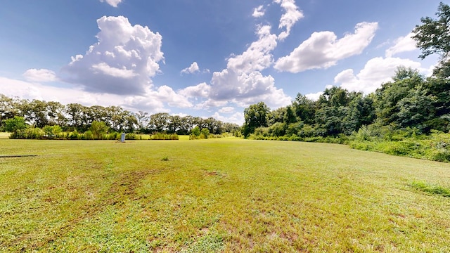 847 Peach Farm Rd, Ashford, AL 36312 - photo 37