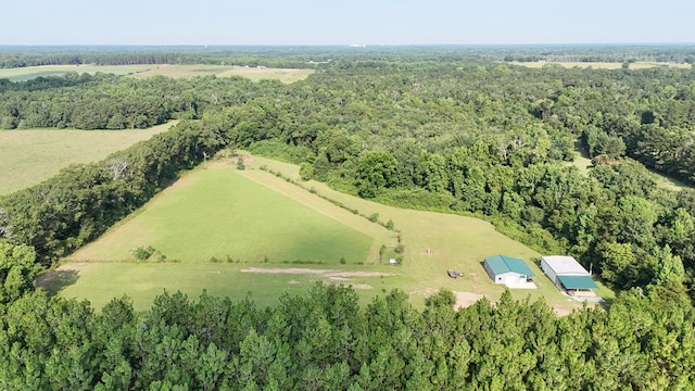 847 Peach Farm Rd, Ashford, AL 36312 - photo 39
