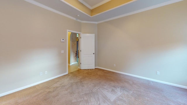 carpeted empty room featuring ornamental molding