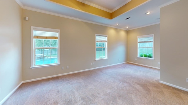 spare room featuring light colored carpet and ornamental molding