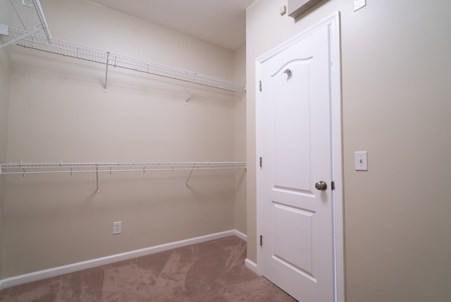 walk in closet featuring carpet