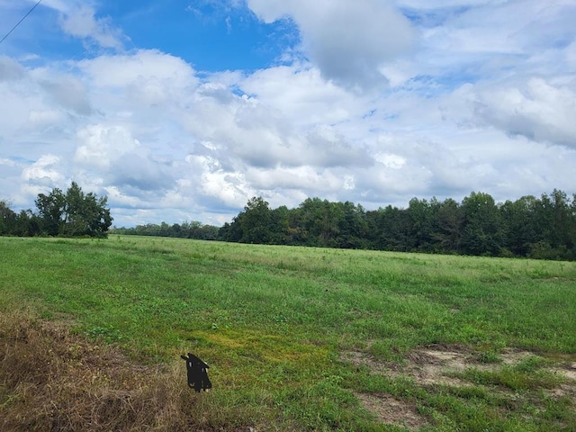 LOT2 Enterprise Church Rd, Ashford, AL 36312 - photo 7