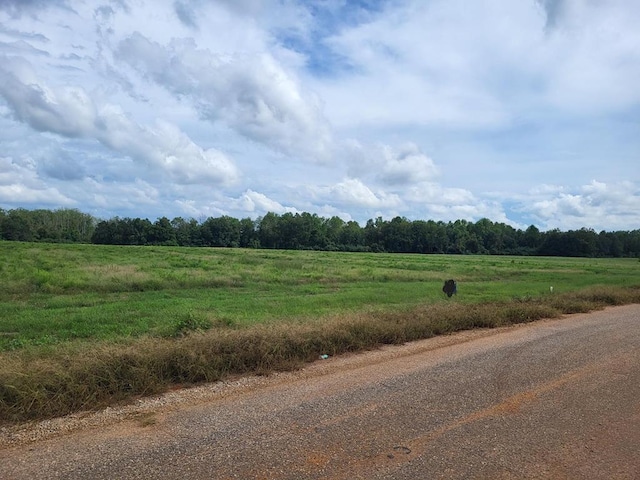 LOT2 Enterprise Church Rd, Ashford, AL 36312 - photo 5
