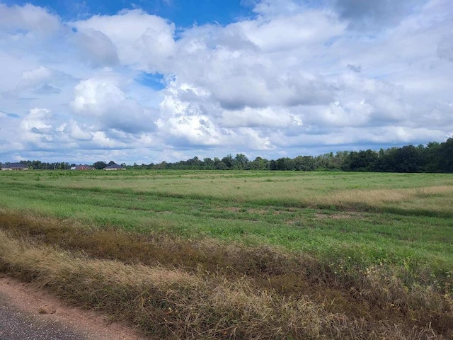 LOT2 Enterprise Church Rd, Ashford, AL 36312 - photo 8