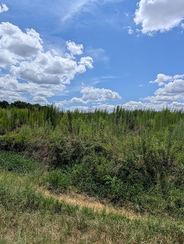 0 County Road 19, Headland, AL 36345