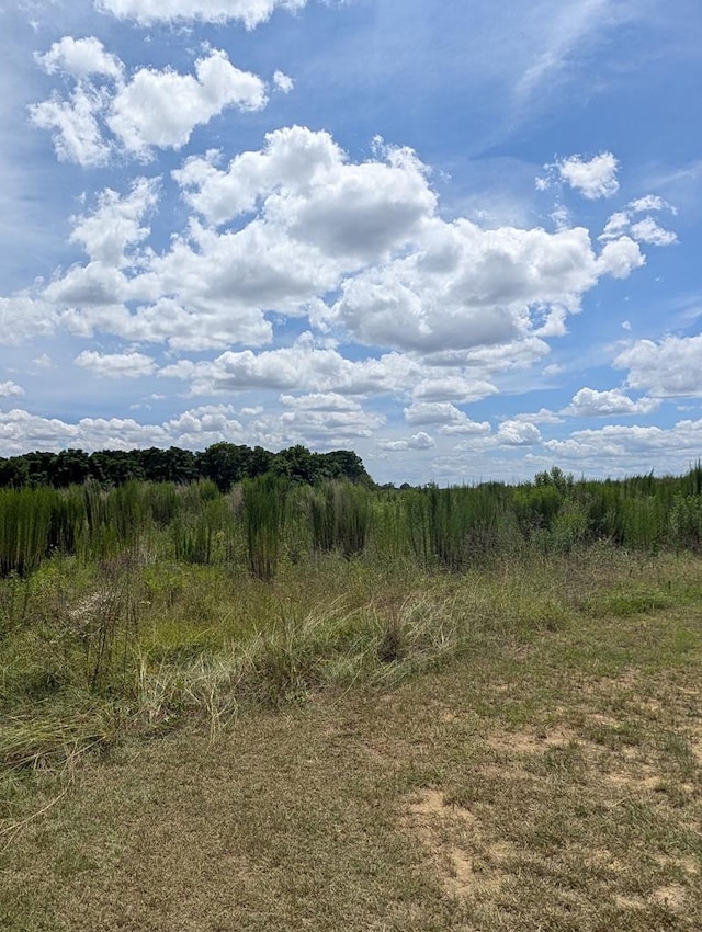 0 County Road 19, Headland, AL 36345