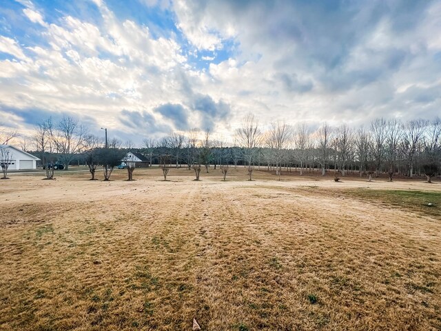 2023 J Saunders Rd, Dothan, AL 36305 - view of yard with a view of rural / pastoral area