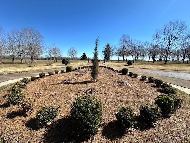 2023 J Saunders Rd, Dothan, AL 36305 - view of yard with a view of rural / pastoral area