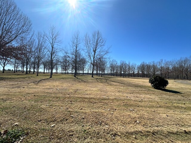 2023 J Saunders Rd, Dothan, AL 36305 - view of green lawn