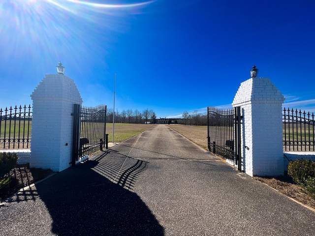 2023 J Saunders Rd, Dothan, AL 36305 - view of asphalt driveway featuring a gate, a gated entry, and street lights