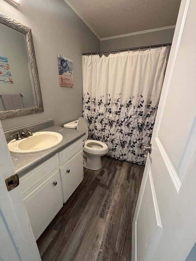 112 Vixen Ct, Dothan, AL 36305 - bathroom featuring wood finished floors, vanity, a textured ceiling, and ornamental molding
