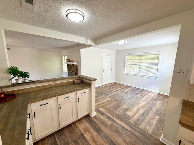 2419 Creekwood Dr, Dothan, AL 36301 - kitchen with butcher block countertops, dark wood-style flooring, a brick fireplace, a textured ceiling, and white cabinets