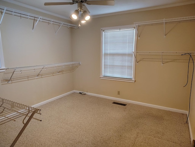 spacious closet featuring carpet floors and ceiling fan