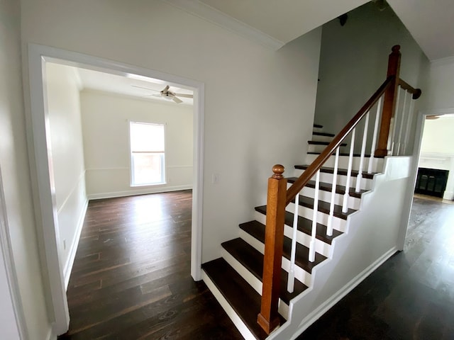 stairs with hardwood / wood-style floors, ornamental molding, and ceiling fan