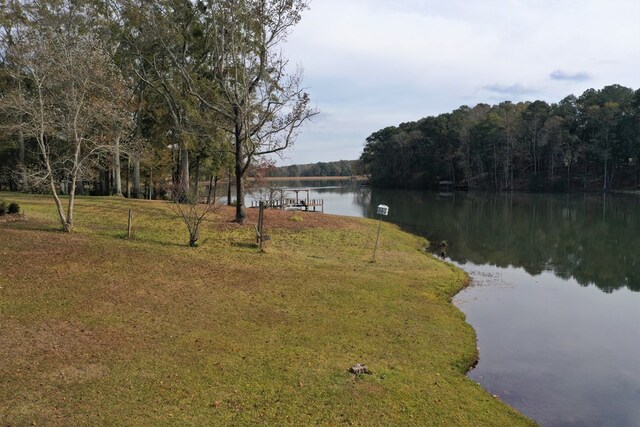 3374 Lake Oak Ridge Dr, Enterprise, AL 36330 - water view with a heavily wooded area