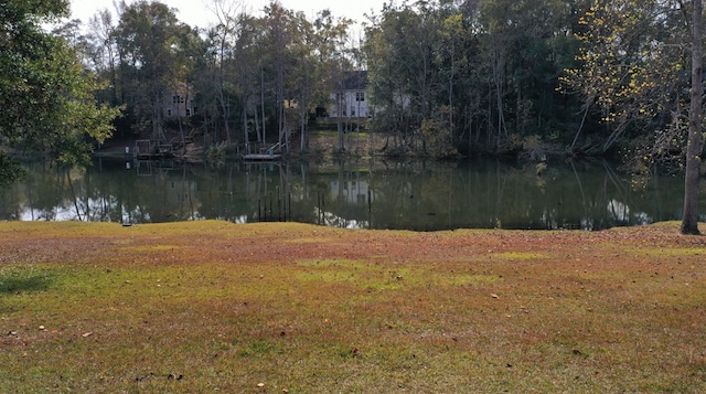 3374 Lake Oak Ridge Dr, Enterprise, AL 36330 - water view