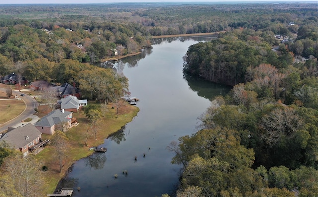 3374 Lake Oak Ridge Dr, Enterprise, AL 36330 - view of property location with a heavily wooded area and a large body of water