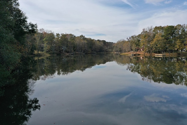 3374 Lake Oak Ridge Dr, Enterprise, AL 36330 - water view featuring a heavily wooded area