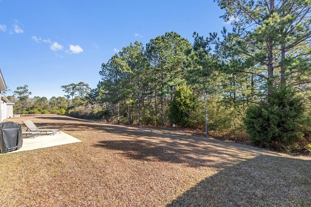 view of yard with a patio area