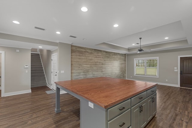 kitchen with ornamental molding, dark hardwood / wood-style floors, a center island, and a raised ceiling