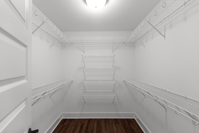 walk in closet with dark hardwood / wood-style floors